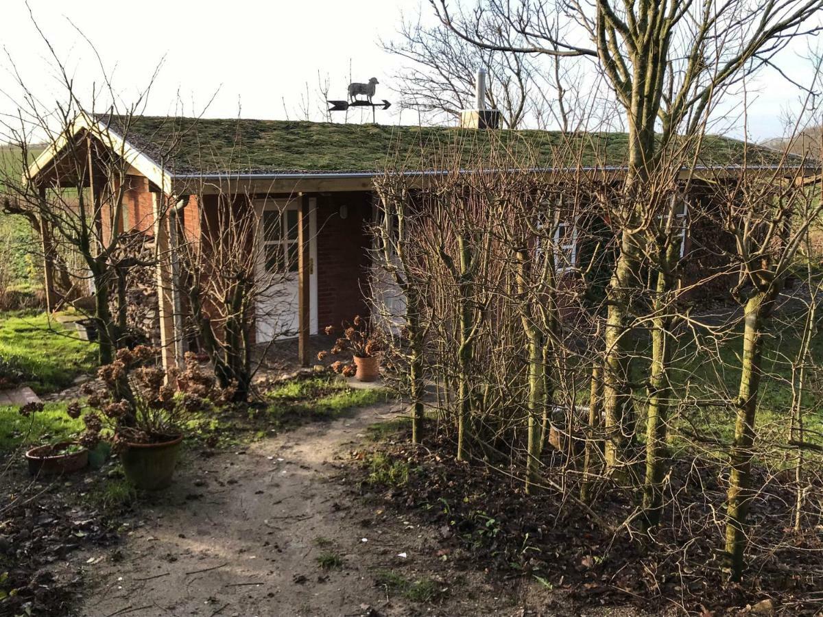 Gartenhaus Frieda Galmsbull Екстериор снимка